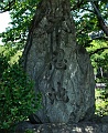 IMG_1224
