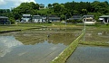 IMG_0451