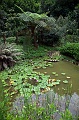 IMG_2002