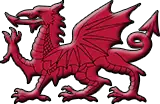 Draig goch