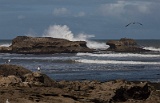 Essaouira