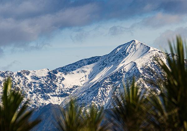 Kaikoura and back north