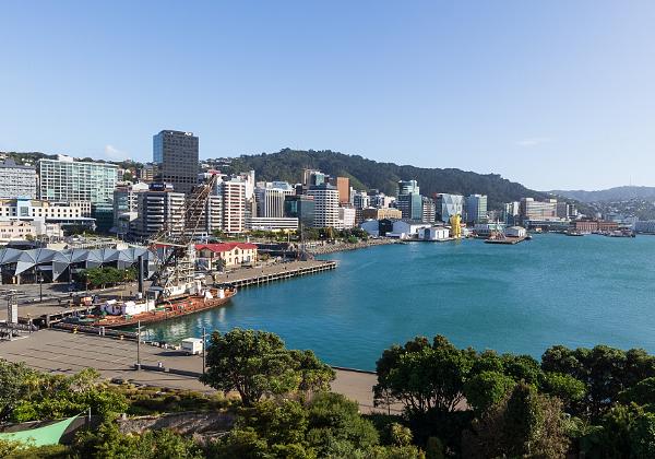 To Wellington