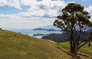 The Coromandel