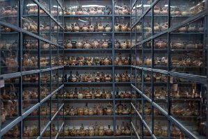 Museo Larco storage room