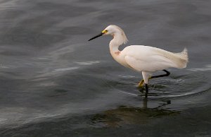 Peru2017 5D3 3840 2000