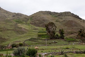 The potatoes fields, high up the hills