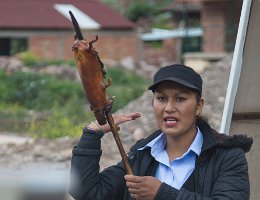 Cooked guinea-pig on a stick