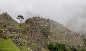 Peru2017 5D3 4824 2000