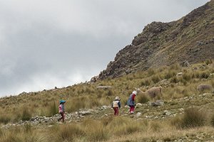 Peru2017 5D3 5023 2000