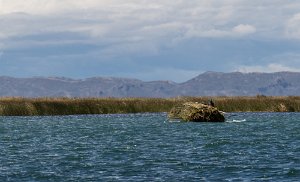 Peru2017 5D3 5231 2000