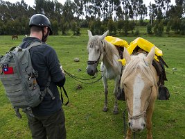 Peru2017 IMG 2479 2000