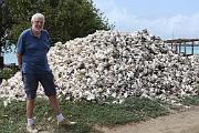 Queen conch shell pile, Lac Bay