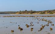 Jan Thiel salt pans