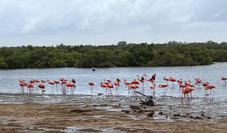 Bonaire