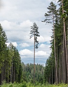 Near Skalná, Czechia