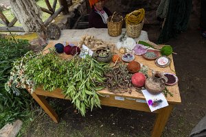 Sources of natural dye
